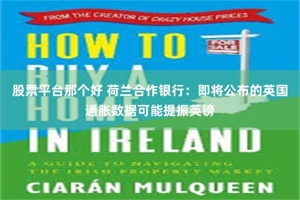 股票平台那个好 荷兰合作银行：即将公布的英国通胀数据可能提振英镑